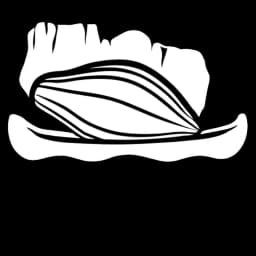 Cacao del Amazonas Logo