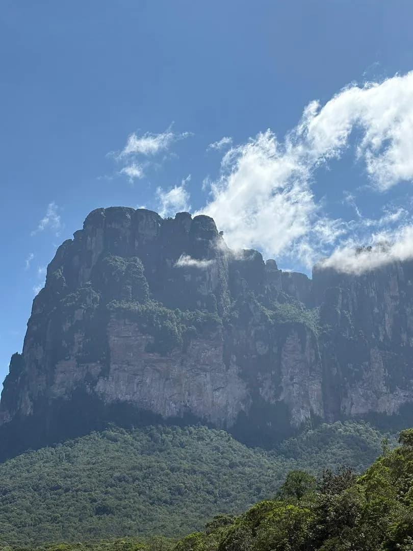 Tepuyes Landscape
