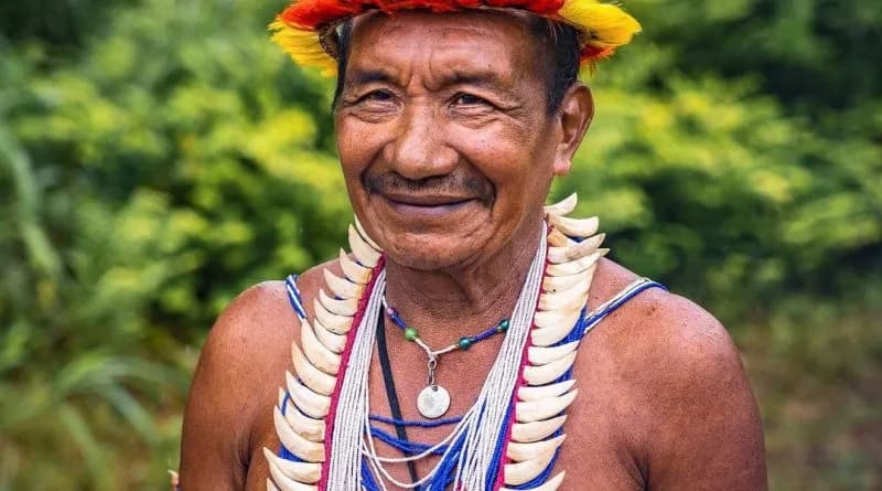 Sacks of cacao beans ready for international export.